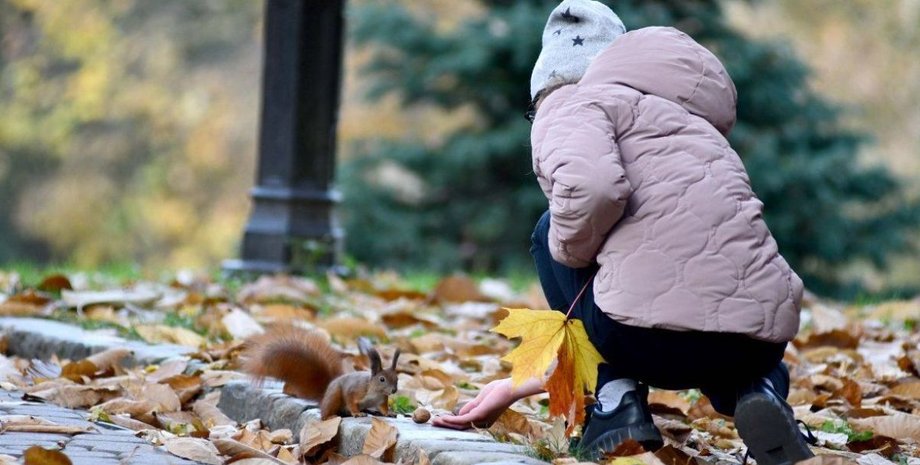 Прогноз погоди на вихідні – чи настане бабине літо в жовтні? | INFBusiness