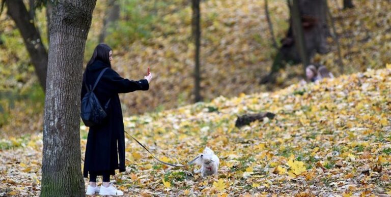 У середу в більшості регіонів України буде хмарно | Фото: УНІАН Погода в Україні — прогноз погоди на 8 жовтня від Діденко | INFBusiness