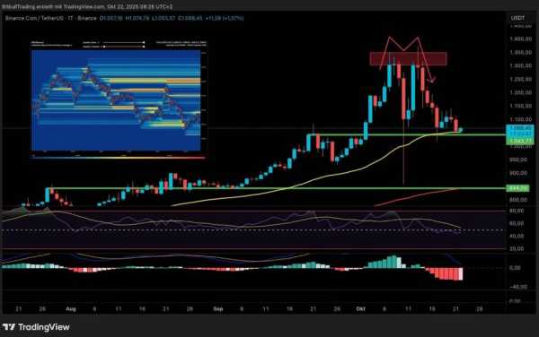 BNB хитається: що далі для Binance Coin | INFBusiness