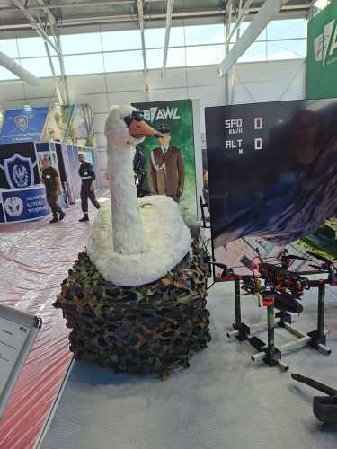 Роботи-голуби та комарі-шпигуни: дрони нового покоління вже служать в армії | INFBusiness