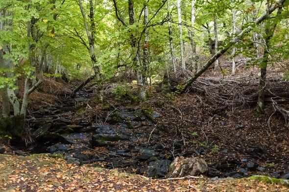 Чоловік приголомшений стародавніми знахідками після того, як слідував за картою 1850-х років