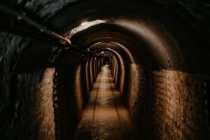 Чоловік знайшов «мережу тунелів» під будинком, оскільки всі мають однакову пораду | INFBusiness