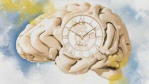 Нове дослідження показує, чому час, здається, рухається швидше, чим старшими ми стаємо | INFBusiness