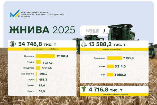 Збір пшениці, ячменю та ріпаку в Україні завершено. | INFBusiness