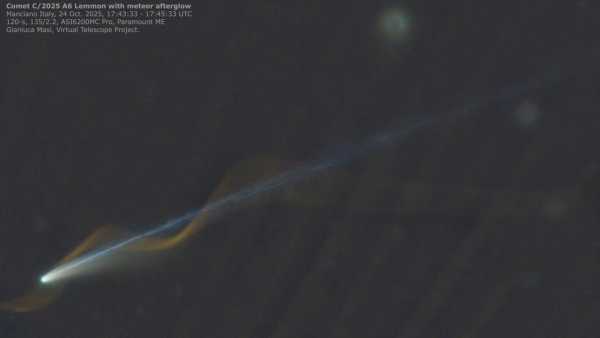 Х-зв'язаний ген під назвою KDM6A демонструє більшу активність у жінок, ніж у чоловіків, і пов'язаний із запаленням мозку, що може пояснити вищі показники розсіяного склерозу, що спостерігаються у жінок. (Зображення: quantic69/Getty Images) Ген на Х-хромосомі може допомогти пояснити високий рівень розсіяного склерозу у жінок | INFBusiness