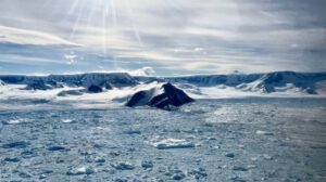 Антарктичний льодовик відступає в 10 разів швидше, ніж вимірювалося раніше: дослідження | INFBusiness