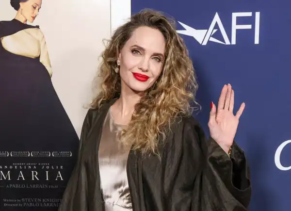 Нові подробиці судової справи Бреда Пітта проти Анджеліни Джолі