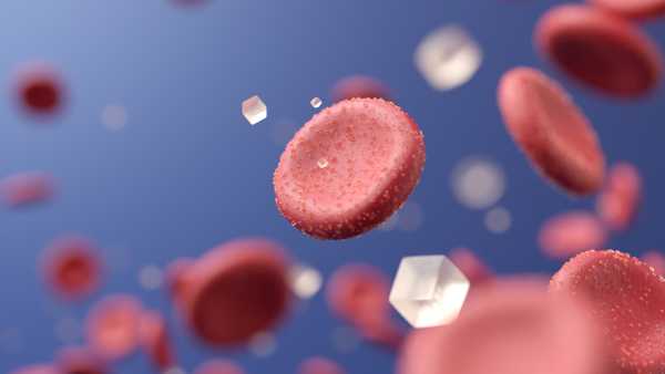 Знищення «зомбі-клітин» у кровоносних судинах може бути ключем до лікування діабету, згідно з раннім дослідженням | INFBusiness