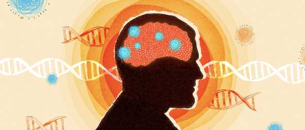 «Ніби тремтіння пробігло від його мозку до тіла»: Нейробіологи, які навчилися контролювати спогади у гризунів | INFBusiness