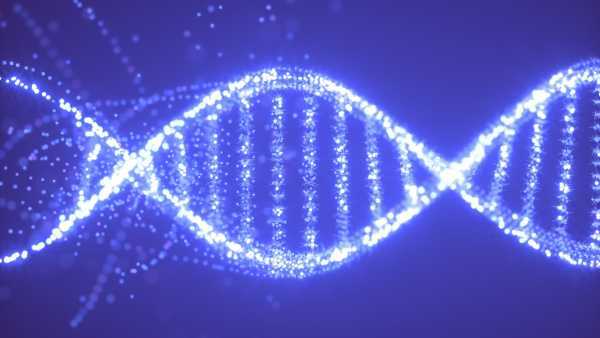 Діагностична дилема: У жінки були XY-хромосоми її брата-близнюка, але лише в крові. | INFBusiness