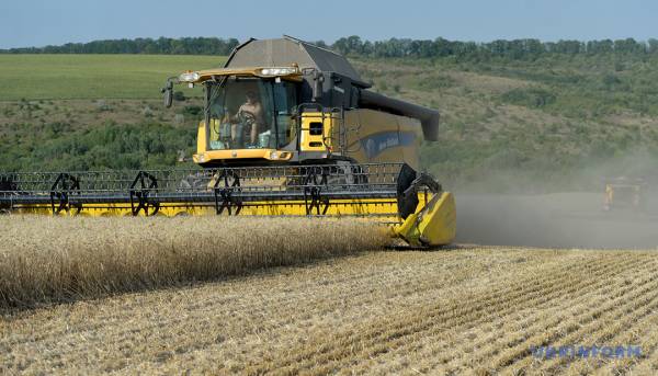 Збір врожаю 2025: не менший, ніж минулого року | INFBusiness
