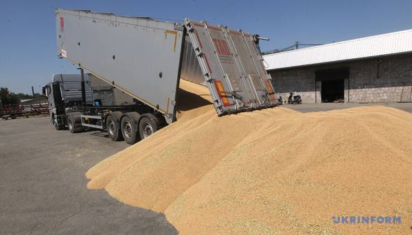 Збір врожаю 2025: не менший, ніж минулого року | INFBusiness