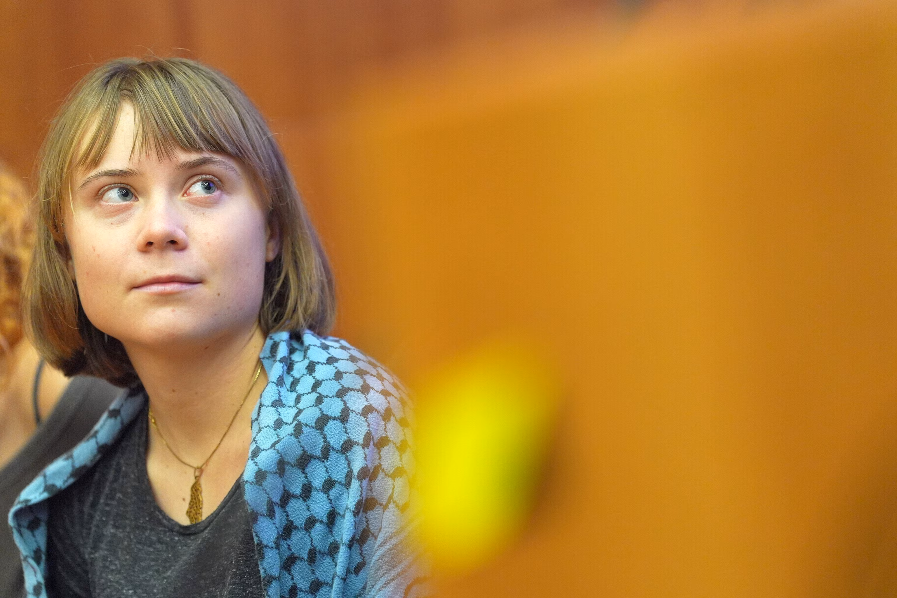 Кліматичній активістці Греті Тунберг заборонили в'їзд до Венеції після того, як Гранд-канал пофарбували в зелений колір | INFBusiness