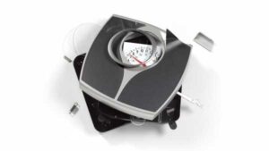 Чи рівень ожиріння в Америці зупинився на стагнації? | INFBusiness