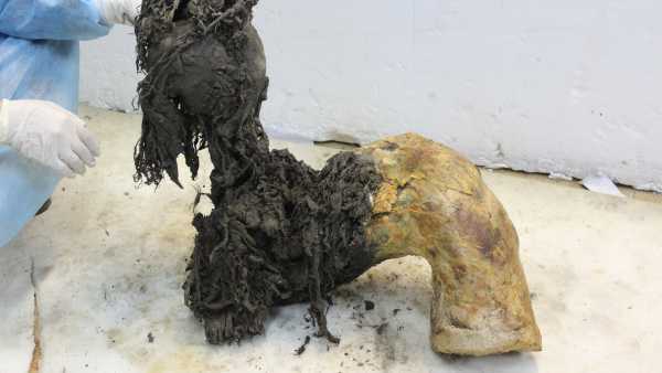 Експериментальна лікарська сполука має на меті запобігти та лікувати наслідки діабету, які можуть погіршити функцію клітин. (Зображення: piyaset via Getty Images) Новий препарат може запобігти ускладненням діабету, які не усуваються контролем рівня цукру в крові, підказують дослідження | INFBusiness