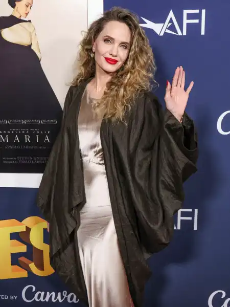 Нові подробиці судової справи Бреда Пітта проти Анджеліни Джолі | INFBusiness