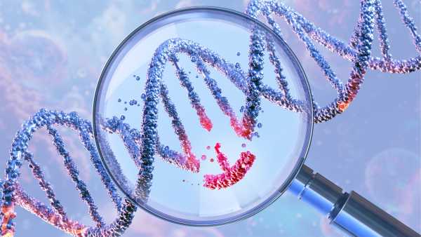 Знищення «зомбі-клітин» у кровоносних судинах може бути ключем до лікування діабету, згідно з раннім дослідженням | INFBusiness