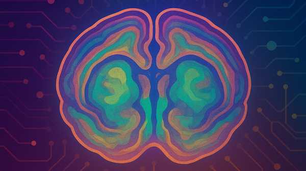 «Ніби тремтіння пробігло від його мозку до тіла»: Нейробіологи, які навчилися контролювати спогади у гризунів | INFBusiness