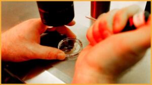 Обмеження на дослідження тканин плода загрожуватимуть прогресу в розробці проривних методів лікування руйнівних захворювань, але водночас не запобігнуть жодному аборту. | INFBusiness