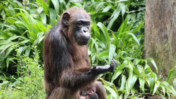 Токсиколог пояснює, коли можна безпечно зрізати запліснявілу частину з їжі, а коли найкраще її викинути | INFBusiness