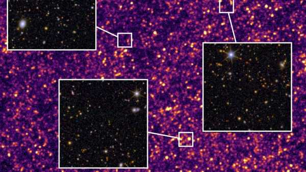 Канада втратила свій «статус країни, де ліквідовано кір» — ось що це означає | INFBusiness