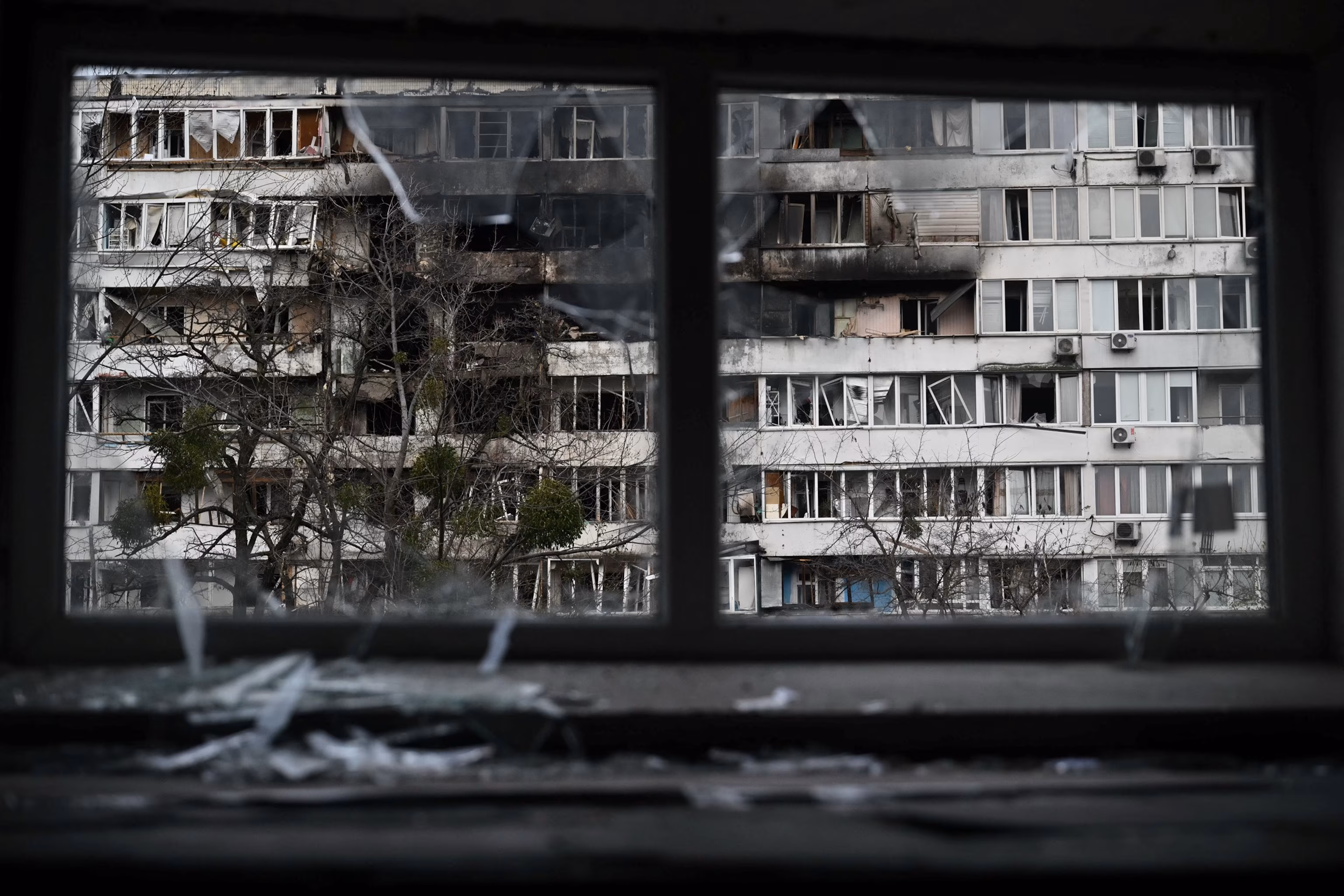 Кремль заявляє, що «проект Трампа» щодо України — це «єдиний предметний» мирний план | INFBusiness