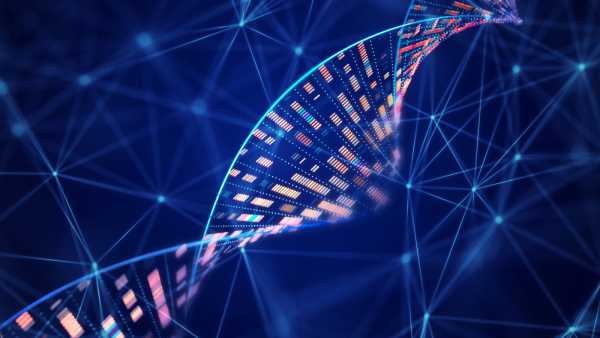 Джеймс Вотсон, суперечливий співвідкривач структури ДНК, помер у віці 97 років | INFBusiness