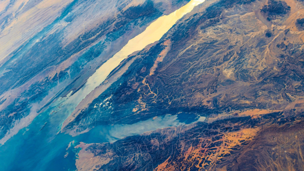 Дослідження на мишах показують, що дієта з високим вмістом клітковини може допомогти підтримувати функцію імунних клітин, які виявляють та знищують рак. (Зображення: CHRISTOPH BURGSTEDT/SCIENCE PHOTO LIBRARY via Getty Images) Дослідження показує, що дієта з високим вмістом клітковини може «омолоджувати» імунні клітини, які борються з раком | INFBusiness