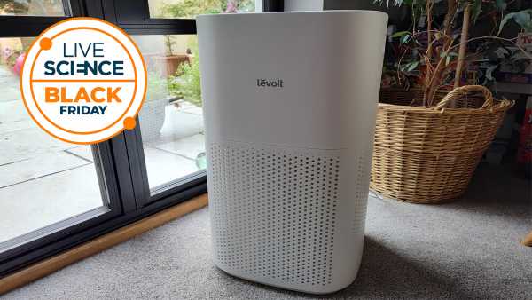 Стрес може спричинити випадіння волосся, викликаючи розрив мітохондрій | INFBusiness