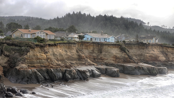 «Ніби тремтіння пробігло від його мозку до тіла»: Нейробіологи, які навчилися контролювати спогади у гризунів | INFBusiness