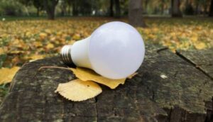 Укренерго вводить графіки знеструмлення на середу. | INFBusiness