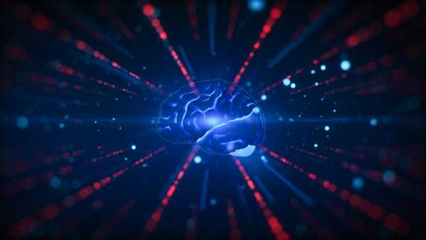 Чи рівень ожиріння в Америці зупинився на стагнації? | INFBusiness