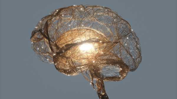 Зменшення крони дерев у школах Каліфорнії може наразити дітей на ризик сильної спеки | INFBusiness