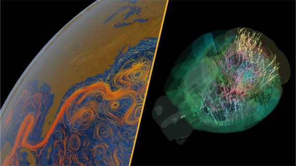 «Ніби тремтіння пробігло від його мозку до тіла»: Нейробіологи, які навчилися контролювати спогади у гризунів | INFBusiness