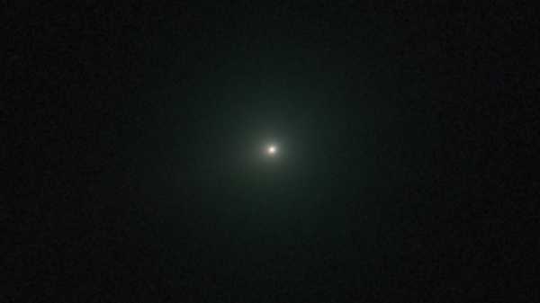 Джеймс Вотсон, суперечливий співвідкривач структури ДНК, помер у віці 97 років | INFBusiness