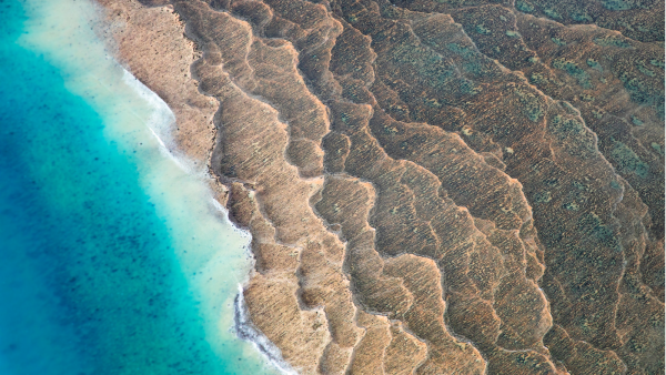 Канада втратила свій «статус країни, де ліквідовано кір» — ось що це означає | INFBusiness