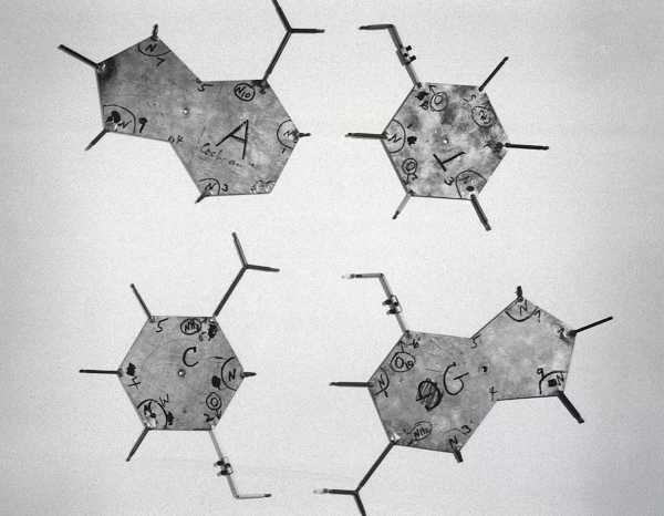Джеймс Вотсон, суперечливий співвідкривач структури ДНК, помер у віці 97 років | INFBusiness