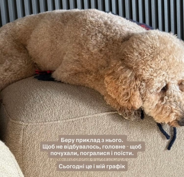 У ніч на 14 листопада росія знову здійснила ракетну та дронову атаку на українські мирні міста. Під потужним ударом опинився Київ, де вже відомо про смерть п’ятьох людей, ще 27 отримали травми. На жахливий ворожий напад зреагували знаменитості на своїх акаунтах у соціальних мережах. Значна частина з них провела ніч у бомбосховищах і в підземних гаражах, ховаючись разом з дітьми. Вибухи поруч: знаменитості про обстріл Києва | INFBusiness