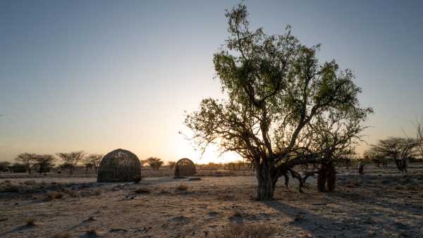 Діагностична дилема: У жінки були XY-хромосоми її брата-близнюка, але лише в крові. | INFBusiness