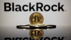ETF BlackRock Bitcoin зазнав рекордного відтоку коштів у листопаді | INFBusiness
