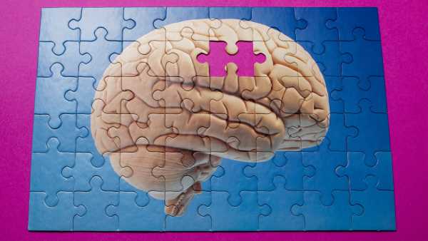 Старіння та запалення можуть не йти рука об руку, показує дослідження | INFBusiness