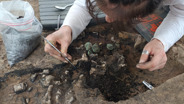 Стрес може спричинити випадіння волосся, викликаючи розрив мітохондрій | INFBusiness