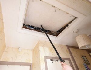 Збентежена пара знайшла десятки речей на горищі свого нового будинку | INFBusiness