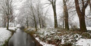 Україна: прогноз опадів — синоптики попереджають про мокрий сніг | INFBusiness