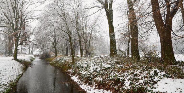 Україна: прогноз опадів — синоптики попереджають про мокрий сніг