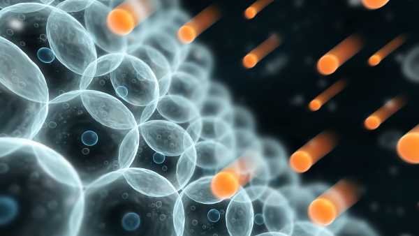 Вільні радикали – це дуже реактивні молекули – чи завжди вони шкідливі, чи мають якісь переваги?