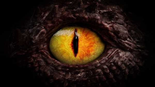 Діагностична дилема: домашній сік жінки призвів до небезпечного для життя «синдрому токсичного кабачка» | INFBusiness