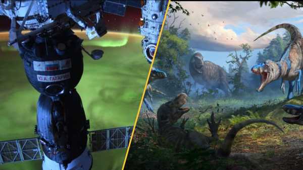 «Літній час здається таким безглуздим»: опитування показує, що більшість читачів Live Science хочуть скасувати перехід на літній час | INFBusiness