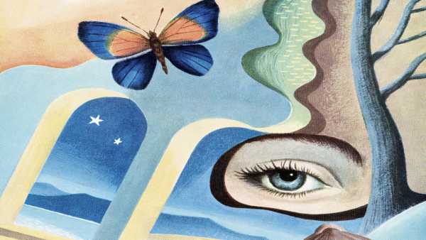 Чи люди бачать сни кольорові чи чорно-білі? | INFBusiness