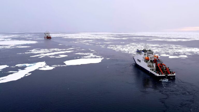 «Безпрецедентна» кількість китайських кораблів в Арктиці: Міністерство внутрішньої безпеки США